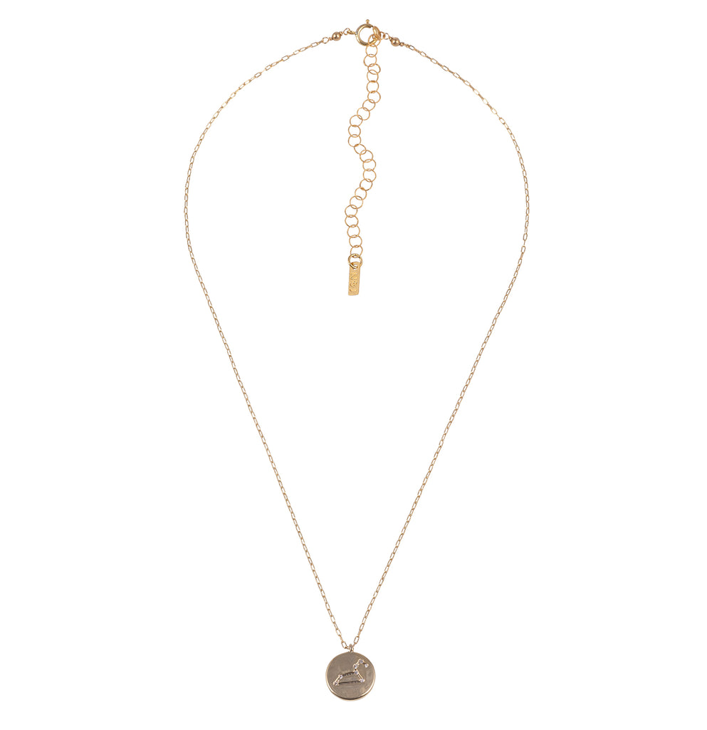 Leo Constellation Necklace