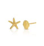 Mismatched Sea Shell Studs