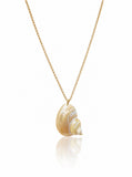 Calypso Shell Necklace