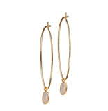 Odessa Hoops, Gold