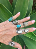 Copa Ring, Abalone